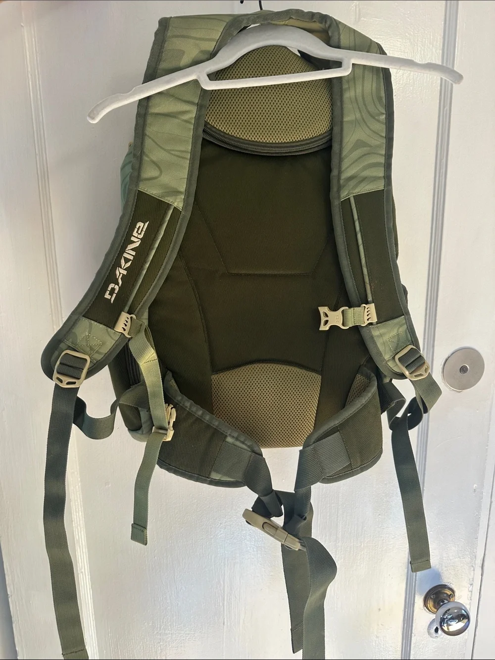 Dakine Olive Green Mt. Baker Daypack with Strap System